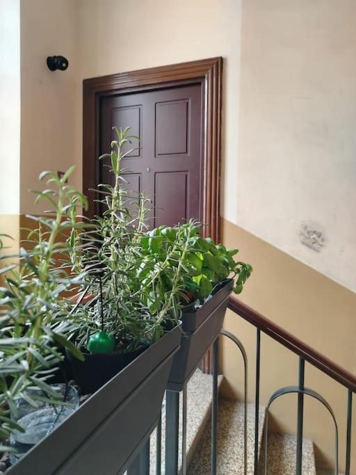 Bnb Citylifers ميلان المظهر الخارجي الصورة